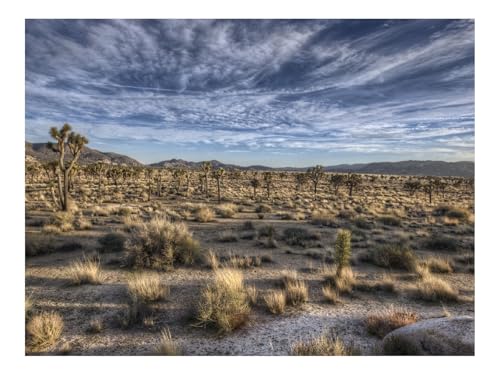 Puzzle 1500 Teile,Farbenfrohes Legespiel-Wüste,Vegetation,Gras 87x57cm Puzzle 1500 Teile,Farbenfrohes Legespiel-Wüste,Vegetation,Gras 87x57cm von THISIT