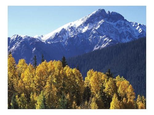 Puzzle 1500 Teile,Geschenk für Mann und Frau-Berge,Bäume,Herbst,Gelb 87x57cm von THISIT