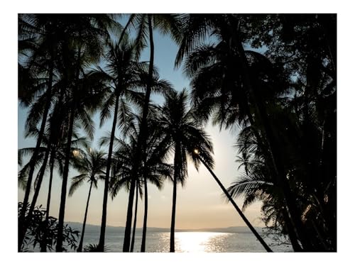 Puzzle 1500 Teile,Geschenk für Mann und Frau-Palme,Meer,Blendung,Horizont,Tropisch 87x57cm Puzzle 1500 Teile,Geschenk für Mann und Frau-Palme,Meer,Blendung,Horizont,Tropisch 87x57cm von THISIT