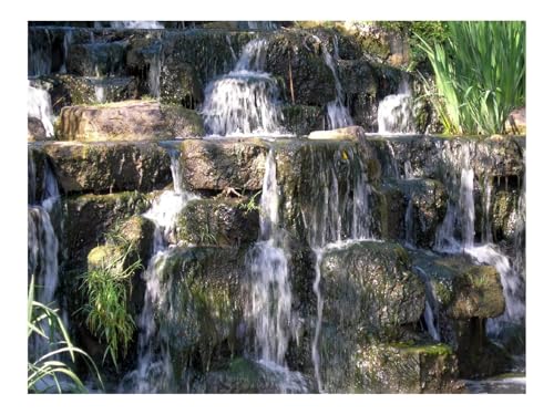 Puzzle 1500 Teile,Geschenk für Mann und Frau-Teller,Bach,Wasser,Gras,Schatten,Steine 87x57cm Puzzle 1500 Teile,Geschenk für Mann und Frau-Teller,Bach,Wasser,Gras,Schatten,Steine 87x57cm von THISIT