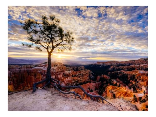 Puzzle 1500 Teile,Home Dekoration-Canyon,Baum,Rochen 87x57cm von THISIT