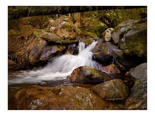 Puzzle 1500 Teile,Klassisches Lernspiel-Bachlauf,Fließen,Steine,Nass,Natur 87x57cm Puzzle 1500 Teile,Klassisches Lernspiel-Bachlauf,Fließen,Steine,Nass,Natur 87x57cm von THISIT