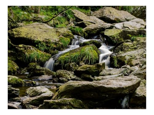 Puzzle 1500 Teile,Klassisches Lernspiel-Bachlauf,Wasser,Kaskade,Steine,Kiesel 87x57cm von THISIT