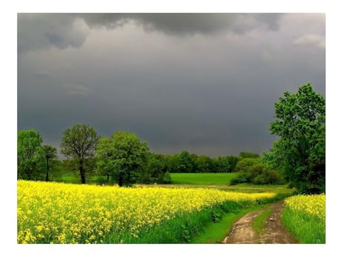 Puzzle 1500 Teile,Klassisches Lernspiel-Bewölkt,Straße,Blumen 87x57cm von THISIT