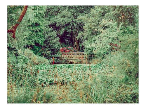 Puzzle 1500 Teile,Klassisches Lernspiel-Brücke,Bäume,Büsche 87x57cm Puzzle 1500 Teile,Klassisches Lernspiel-Brücke,Bäume,Büsche 87x57cm von THISIT