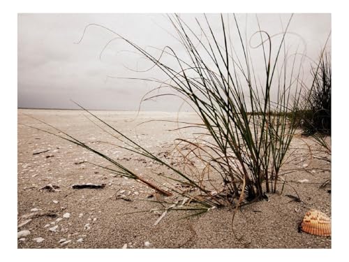 Puzzle 1500 Teile,Klassisches Lernspiel-Büsche,Gras,Sand 87x57cm Puzzle 1500 Teile,Klassisches Lernspiel-Büsche,Gras,Sand 87x57cm von THISIT