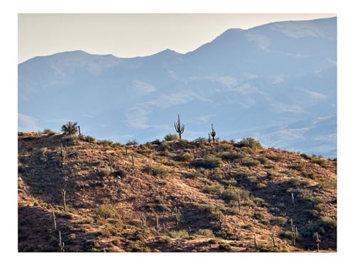 Puzzle 1500 Teile,Klassisches Lernspiel-Kakteen,Prärie,Hügel 87x57cm Puzzle 1500 Teile,Klassisches Lernspiel-Kakteen,Prärie,Hügel 87x57cm von THISIT