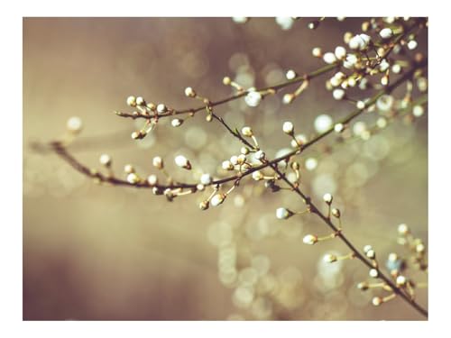 Puzzle 1500 Teile,Klassisches Lernspiel-Knospen,Zweige,Pflanze 87x57cm Puzzle 1500 Teile,Klassisches Lernspiel-Knospen,Zweige,Pflanze 87x57cm von THISIT