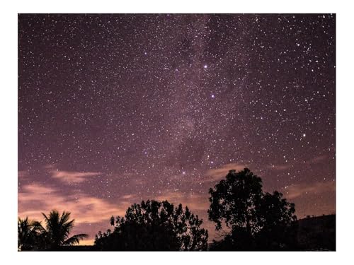 Puzzle 1500 Teile,Klassisches Lernspiel-Sterne,Himmel,Nacht,Bäume,Silhouetten 87x57cm Puzzle 1500 Teile,Klassisches Lernspiel-Sterne,Himmel,Nacht,Bäume,Silhouetten 87x57cm von THISIT