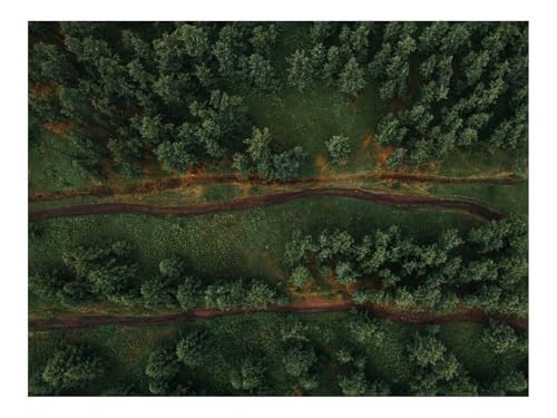 Puzzle 1500 Teile,Klassisches Lernspiel-Wälder,Luftaufnahme,Bäume,Wege 87x57cm Puzzle 1500 Teile,Klassisches Lernspiel-Wälder,Luftaufnahme,Bäume,Wege 87x57cm von THISIT
