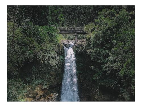 Puzzle 1500 Teile,Klassisches Lernspiel-Wasserfall,Felsen,Bäume,See,Landschaft 87x57cm Puzzle 1500 Teile,Klassisches Lernspiel-Wasserfall,Felsen,Bäume,See,Landschaft 87x57cm von THISIT