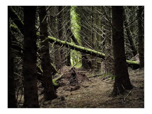 Puzzle 1500 Teile - Impossible Hard Challenge Puzzles-Wälder,Bäume,Kiefern,Holz,Natur 87x57cm Puzzle 1500 Teile - Impossible Hard Challenge Puzzles-Wälder,Bäume,Kiefern,Holz,Natur 87x57cm von THISIT
