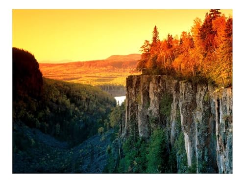 Puzzle 500 Elemente - DIY-Spiel-Brechen,Fallen,Bäume 52x38cm von THISIT