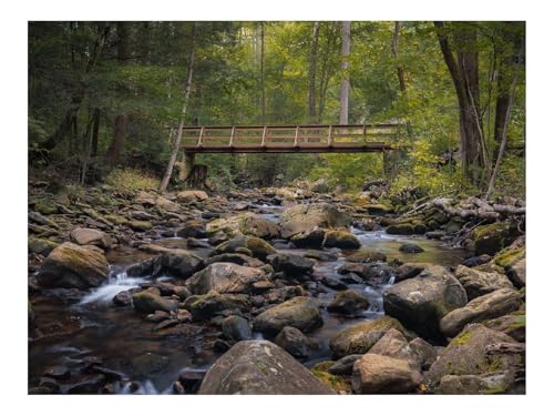 Puzzle 500 Elemente - DIY-Spiel-Brücke,Steine,Bach 52x38cm von THISIT