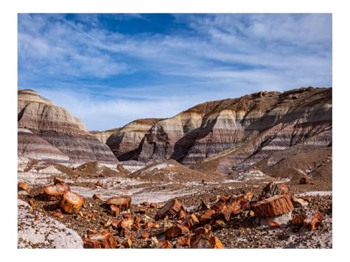 Puzzle 500 Elemente - DIY-Spiel-Canyon,Felsen,Baumstämme 52x38cm von THISIT