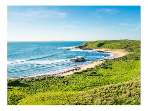 Puzzle 500 Elemente - DIY-Spiel-Küste,Gras,Meer 52x38cm von THISIT