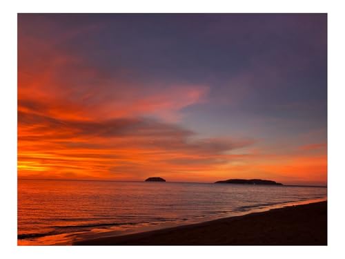 Puzzle 500 Elemente - DIY-Spiel-Küste,Sonnenuntergang,Wellen 52x38cm von THISIT