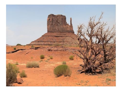 Puzzle 500 Elemente - DIY-Spiel-Wüste,Canyon,Vegetation 52x38cm Puzzle 500 Elemente - DIY-Spiel-Wüste,Canyon,Vegetation 52x38cm von THISIT