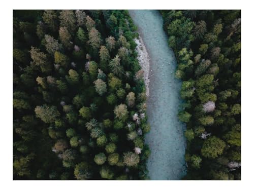 Puzzle 500 Teile,Farbenfrohes Legespiel-Fluss,Luftaufnahme,Wicklung,Bäume,Wälder 52x38cm von THISIT