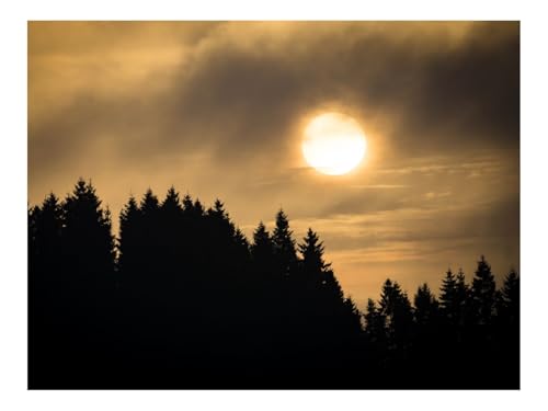 Puzzle 500 Teile,Geschenk für Mann und Frau-Sonnenuntergang,Fichten,Bäume,Wolken 52x38cm von THISIT