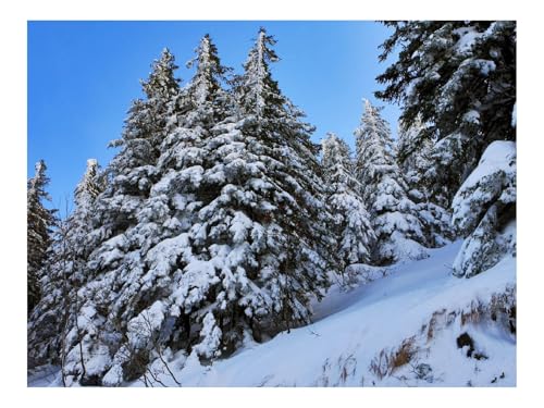 Puzzle 500 Teile,Geschenk für Mann und Frau-Tannenbaum,Schnee,Hang 52x38cm von THISIT