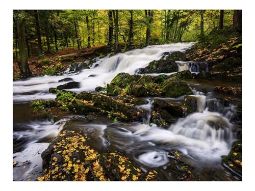 Puzzle 500 Teile,Geschenke für MäNner/Frauen-Fluss,Bäume,Steine,Wasser,Herbst,Natur 52x38cm Puzzle 500 Teile,Geschenke für MäNner/Frauen-Fluss,Bäume,Steine,Wasser,Herbst,Natur 52x38cm von THISIT
