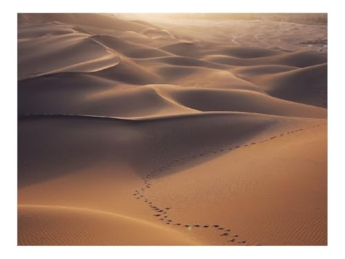 Puzzle 500 Teile,Geschenke für MäNner/Frauen-Wüste,Dünen,Sand 52x38cm von THISIT