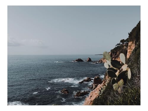 Puzzle 500 Teile,Home Decor Geschenk-Felsen,Meer,Küste,Kakteen 52x38cm von THISIT