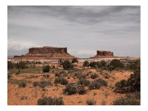 Puzzle 500 Teile,Home Dekoration-Wüste,Berge,Büsche 52x38cm Puzzle 500 Teile,Home Dekoration-Wüste,Berge,Büsche 52x38cm von THISIT