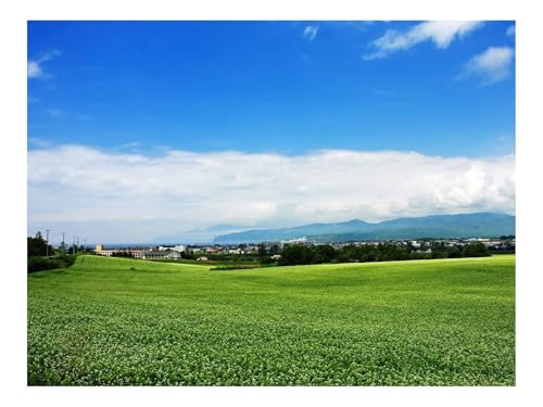 Puzzle 500 Teile,Impossible Game-Feld,Japan,Plantage,Sommer,Dorf 52x38cm Puzzle 500 Teile,Impossible Game-Feld,Japan,Plantage,Sommer,Dorf 52x38cm von THISIT