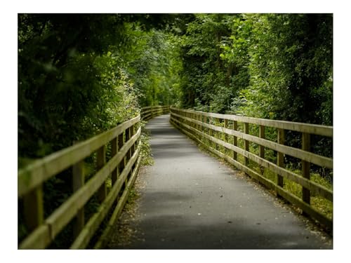 Puzzle 500 Teile,Klassisches Lernspiel-Brücke,Bäume,Tunnel 52x38cm Puzzle 500 Teile,Klassisches Lernspiel-Brücke,Bäume,Tunnel 52x38cm von THISIT