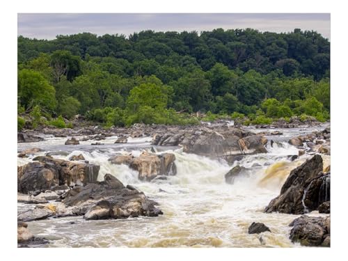 Puzzle 500 Teile,Klassisches Lernspiel-Fluss,Steine,Bäume,Spritzer 52x38cm Puzzle 500 Teile,Klassisches Lernspiel-Fluss,Steine,Bäume,Spritzer 52x38cm von THISIT