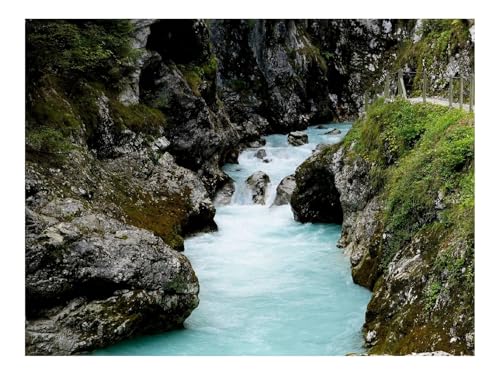 Puzzle 500 Teile,Klassisches Lernspiel-Fluss,Steine,Felsen,Laubmoose,Natur 52x38cm von THISIT