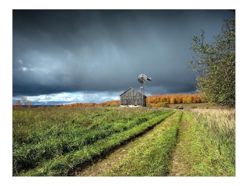Puzzle 500 Teile,Klassisches Lernspiel-Gebäude,Gras,Natur 52x38cm Puzzle 500 Teile,Klassisches Lernspiel-Gebäude,Gras,Natur 52x38cm von THISIT