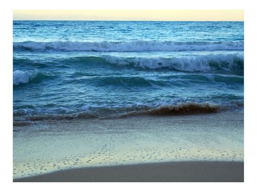 Puzzle 500 Teile,Klassisches Lernspiel-Küste,Sand,Meer 52x38cm Puzzle 500 Teile,Klassisches Lernspiel-Küste,Sand,Meer 52x38cm von THISIT