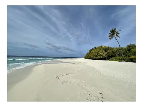 Puzzle 500 Teile,Klassisches Lernspiel-Strand,Sand,Tropen,Natur 52x38cm Puzzle 500 Teile,Klassisches Lernspiel-Strand,Sand,Tropen,Natur 52x38cm von THISIT