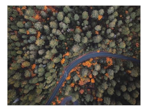 Puzzle 500 Teile,Klassisches Lernspiel-Wälder,Straße,Bäume,Luftaufnahme 52x38cm Puzzle 500 Teile,Klassisches Lernspiel-Wälder,Straße,Bäume,Luftaufnahme 52x38cm von THISIT