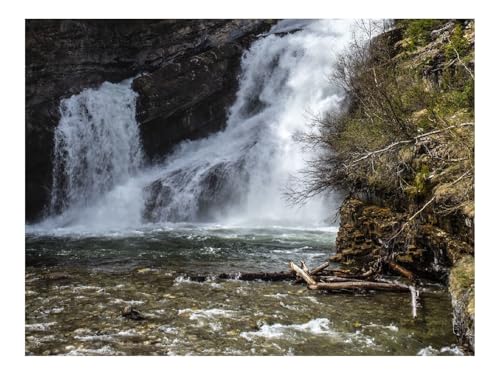 Puzzle 500 Teile,Klassisches Lernspiel-Wasserfall,Felsen,Bäume,Wasser,Fluss 52x38cm Puzzle 500 Teile,Klassisches Lernspiel-Wasserfall,Felsen,Bäume,Wasser,Fluss 52x38cm von THISIT
