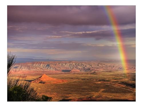 Puzzle 500 Teile,Klassisches Lernspiel-Wüste,Regenbogen 52x38cm Puzzle 500 Teile,Klassisches Lernspiel-Wüste,Regenbogen 52x38cm von THISIT