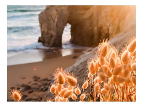 Puzzle 500 Teile - Impossible Hard Challenge Puzzles-Küste,Strand,Pflanzen 52x38cm von THISIT