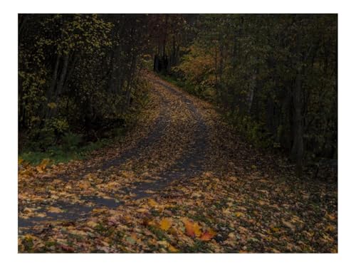 Puzzle 500 Teile - Impossible Hard Challenge Puzzles-Straße,Blätter,Abbiegen,Bäume,Wälder,Herbst 52x38cm von THISIT