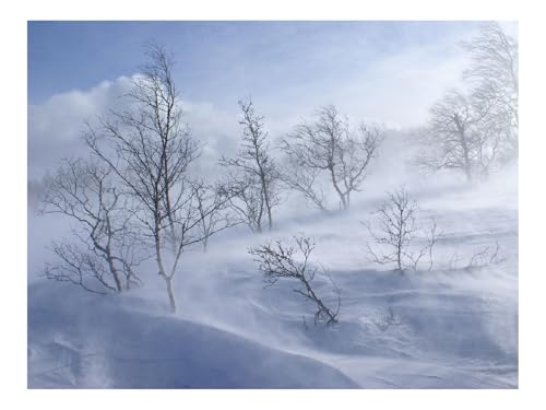 Puzzles 1000 Teile Puzzle Impossible Geschicklichkeitsspiel-Bäume,Berge,Blizzard,Schnee,Wind 70x50cm von THISIT