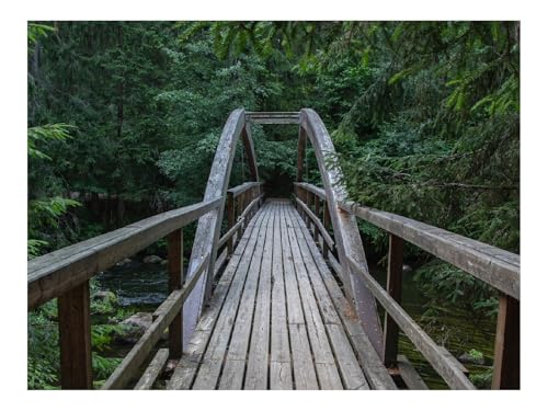 Puzzles 1000 Teile Puzzle Impossible Geschicklichkeitsspiel-Brücke,Holz,Bäume 70x50cm Puzzles 1000 Teile Puzzle Impossible Geschicklichkeitsspiel-Brücke,Holz,Bäume 70x50cm von THISIT