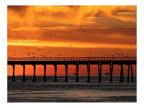 Puzzles 1000 Teile Puzzle Impossible Geschicklichkeitsspiel-Brücke,Sonnenuntergang,Vögel 70x50cm Puzzles 1000 Teile Puzzle Impossible Geschicklichkeitsspiel-Brücke,Sonnenuntergang,Vögel 70x50cm von THISIT
