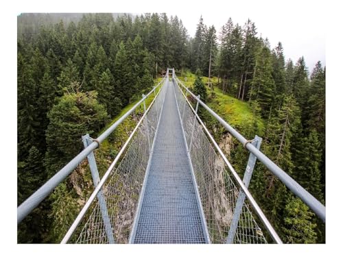 Puzzles 1000 Teile Puzzle Impossible Geschicklichkeitsspiel-Brücke,Wälder,Bäume 70x50cm von THISIT