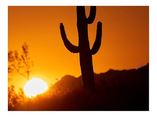 Puzzles 1000 Teile Puzzle Impossible Geschicklichkeitsspiel-Kaktus,Sonne,Sonnenuntergang 70x50cm von THISIT