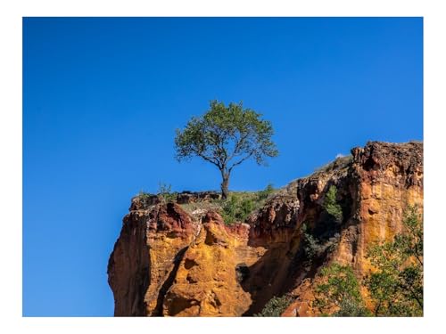 Puzzles 1000 Teile Puzzle Impossible Geschicklichkeitsspiel-Klippe,Baum,Relief 70x50cm von THISIT