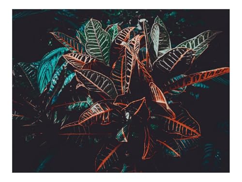 Puzzles 1000 Teile Puzzle Impossible Geschicklichkeitsspiel-Pflanze,Blätter,Aderung 70x50cm Puzzles 1000 Teile Puzzle Impossible Geschicklichkeitsspiel-Pflanze,Blätter,Aderung 70x50cm von THISIT