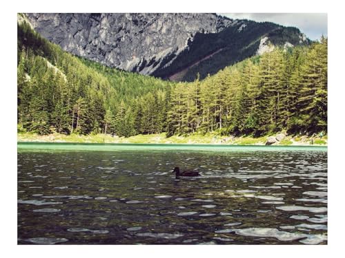 Puzzles 1000 Teile Puzzle Impossible Geschicklichkeitsspiel-See,Ente,Wälder,Berge 70x50cm von THISIT