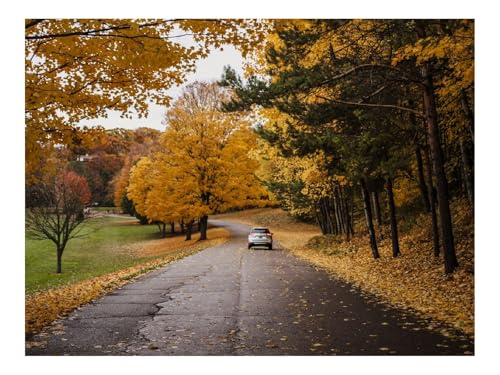 Puzzles 1500 Teile Puzzle Impossible Geschicklichkeitsspiel-Auto,Straße,Herbst 87x57cm von THISIT